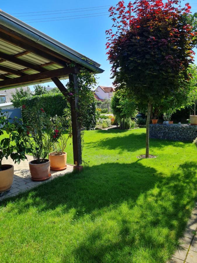 Haus Schneider Διαμέρισμα Kappel-Grafenhausen Εξωτερικό φωτογραφία